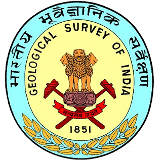 GSI logo